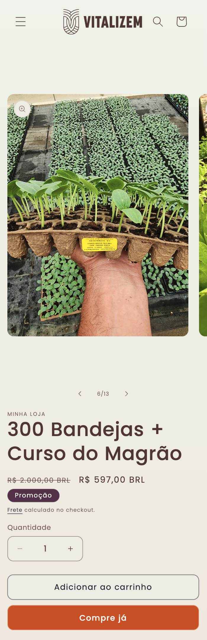 Vitalizem Mobile